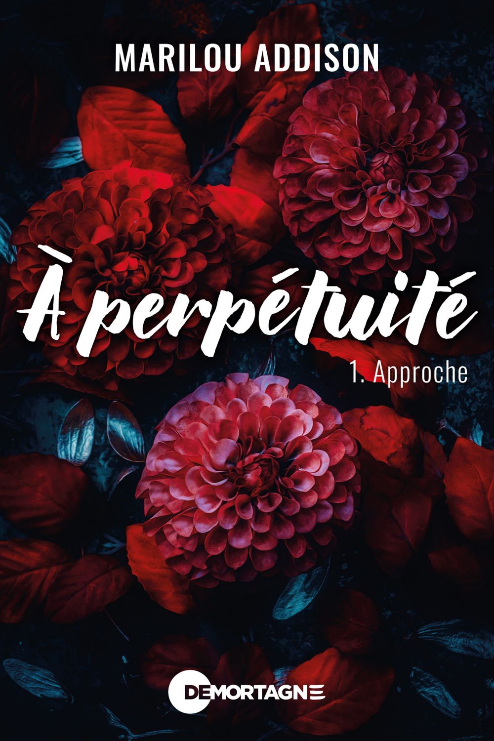 À perpétuité Tome 1 : Approche