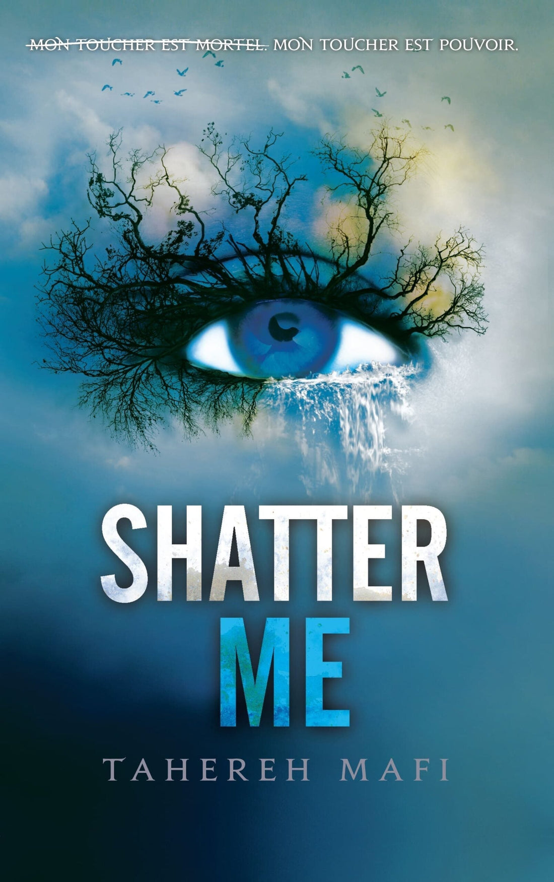 Shatter me
